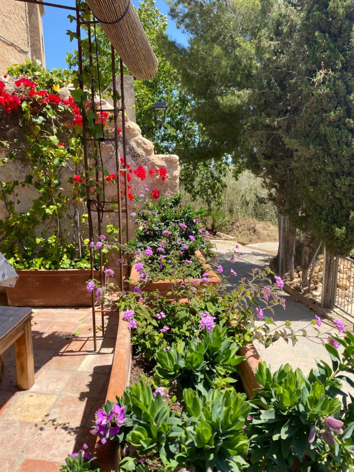 Casa Rural Con Jardin,A 8Km Playa Y En La Naturaleza Taronja&Canyella Ardenya Экстерьер фото